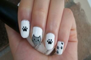 Hint to nail your nice girls love cats